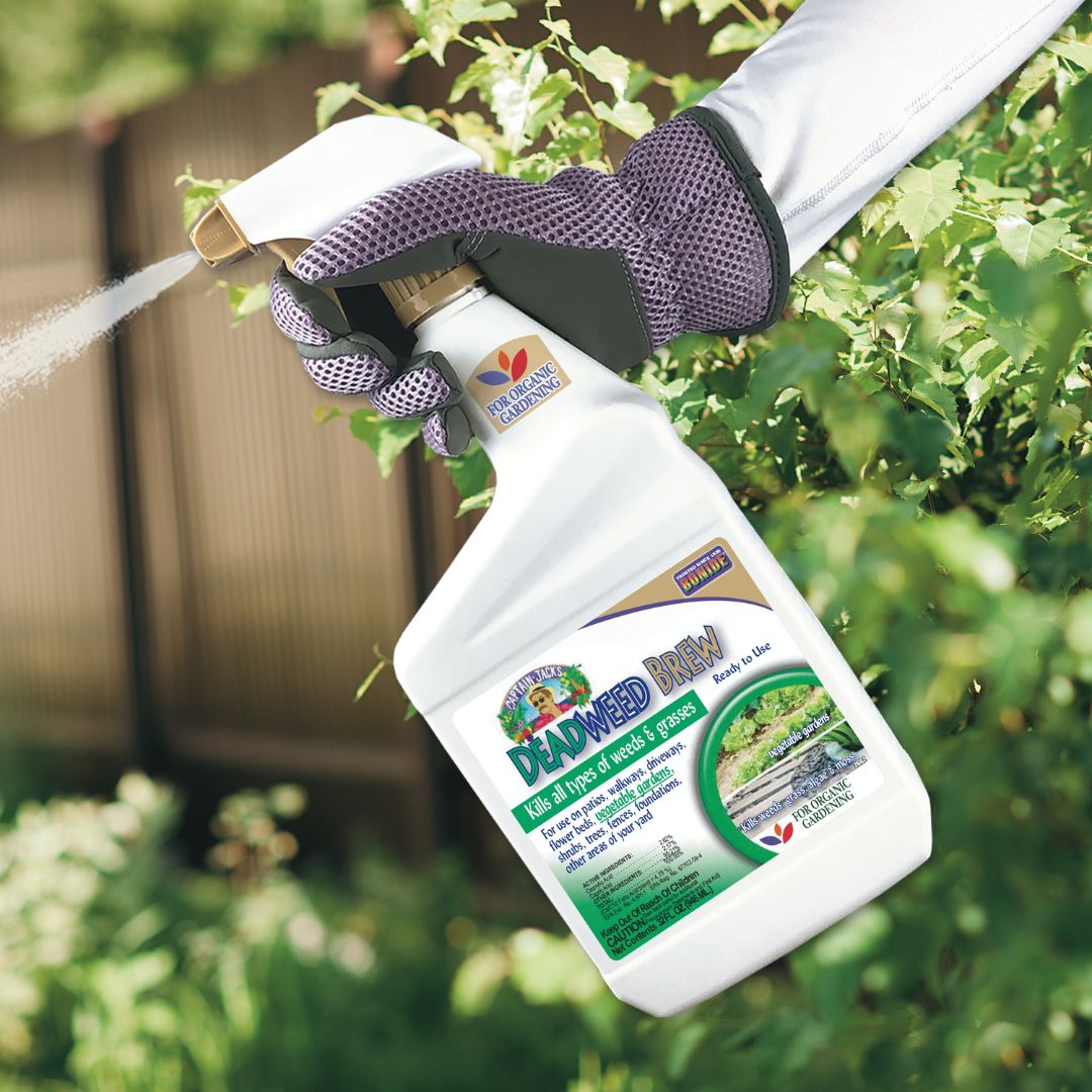 Captain Jack’s Deadweed Brew Spray- Bonide – 32 oz